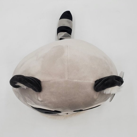 Squishmallows Galci the Raccoon NWT - Picture 6 of 16